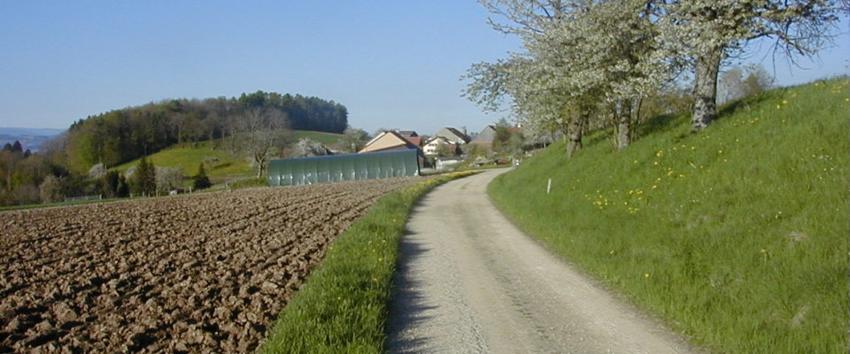 04250020